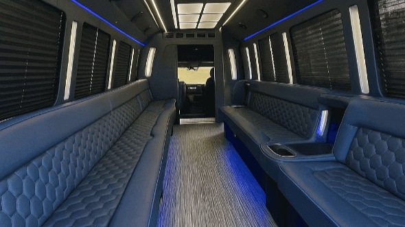 Interior of Oak Lawn Party Bus Company's 20 Passenger Party Bus in Oak Lawn