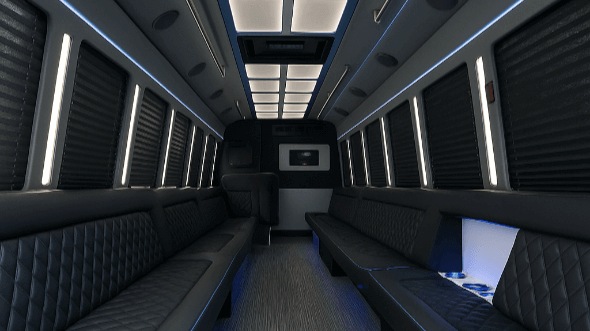 streamwood 20 passenger party bus